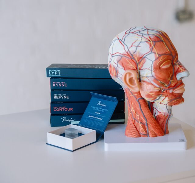 Facial anatomy model with injectable products